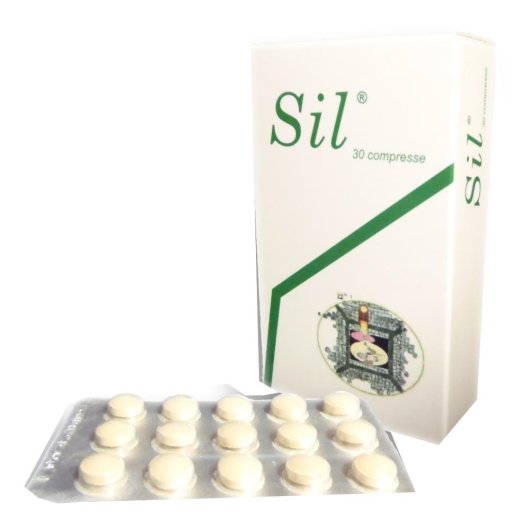 SIL SILIMARINA+VITAMINAE450G