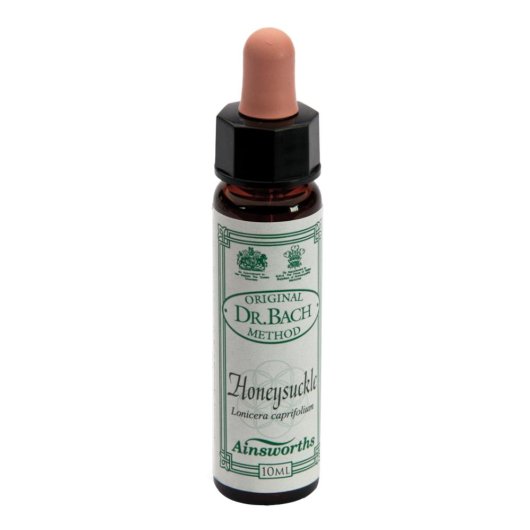 AINSWORTHS HONEYSUCKLE 10ML