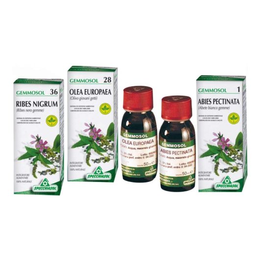 Gemmosol 4 Ontano 50ml