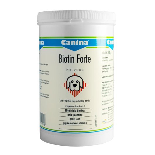 Biotin Forte Polv 500g