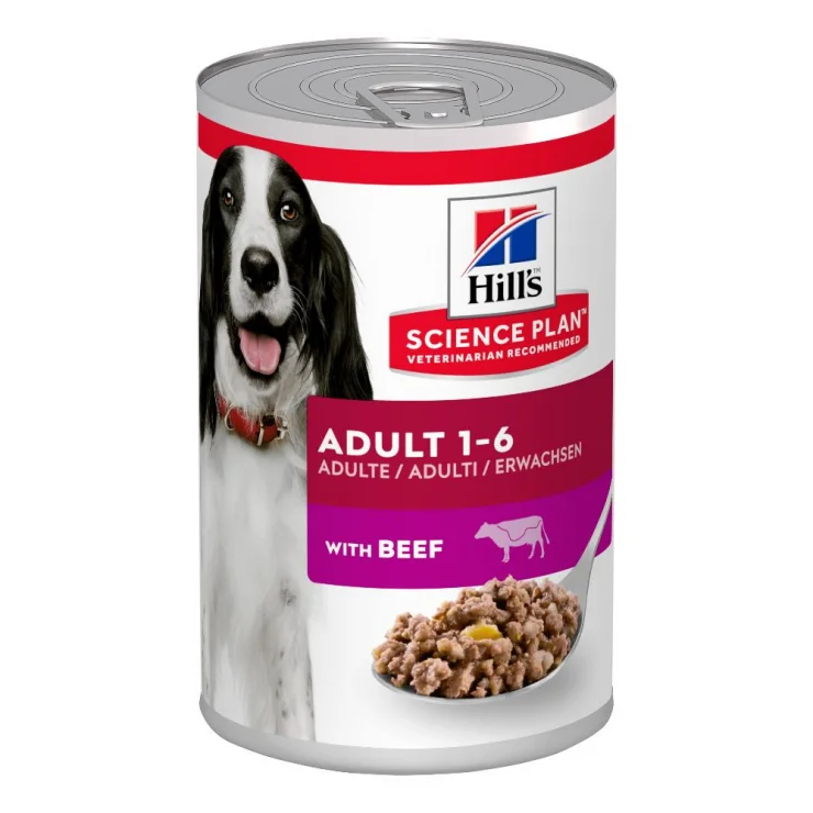 Canine Adult Beef 370g