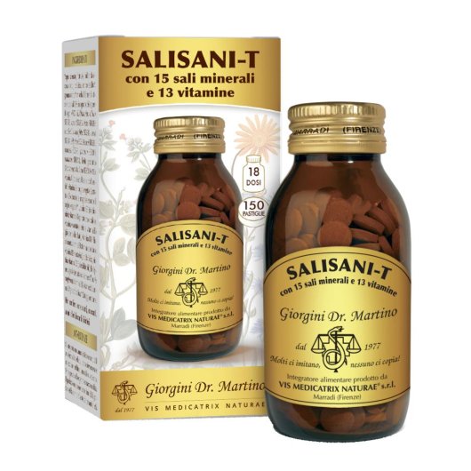 SALISANI-T VITAMINSPORT 90G P