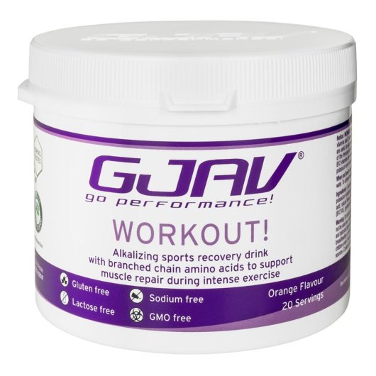 Gjav Workout Arancia 200g   