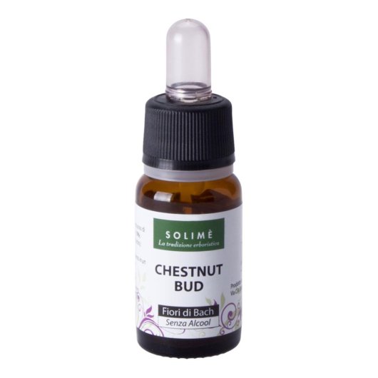 CHESTNUT BUD 10ML