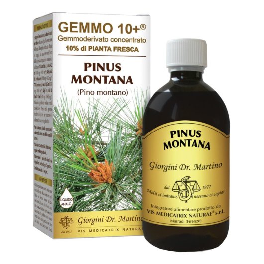 PINO MONT 500ML ANALCO GEM 10+