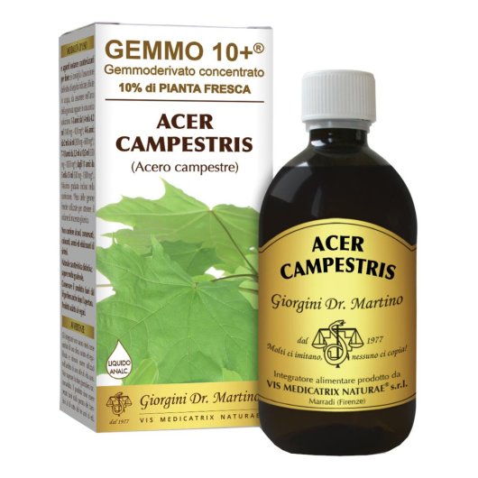 ACERO CAMP 500ML ANALCO GEM10+