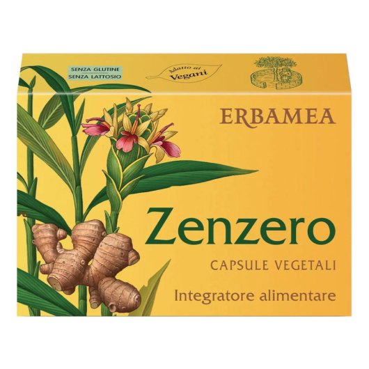 ZENZERO 24CPS