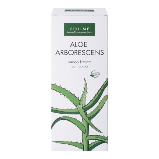 Aloe Succo+polpa 1lt