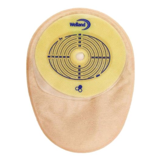 AURUM COLO TR RIT13-60X8030P AURUM COLO TR RIT13-60X8030P