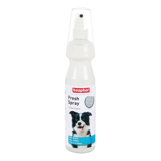 FRESH SPRAY 150ML