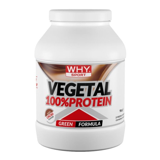 100% VEGETAL PROTEIN CACAO750G