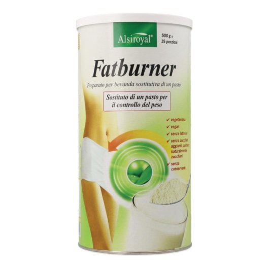 FATBURNER 500G