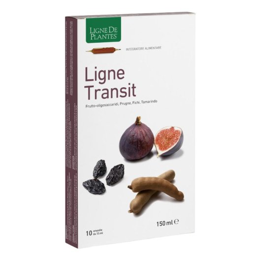 LIGNE TRANSIT 10AMP 15ML LIGNE TRANSIT 10AMP 15ML