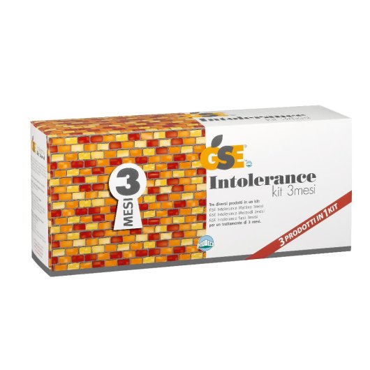 GSE INTOLERANCE 3M270BUSTKIT