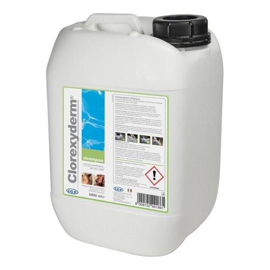 CLOREXYDERM SHAMPOO 5 LT