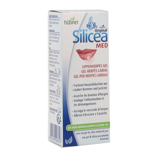 HUBNER SILICEA GEL HERPES LAB