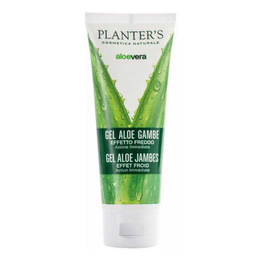 PLANTERS GEL FREDDO GAMBE ALOE