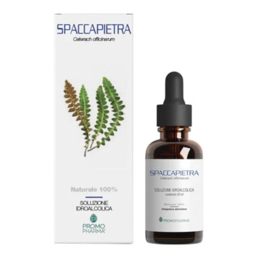 SPACCAPIETRA 50ML