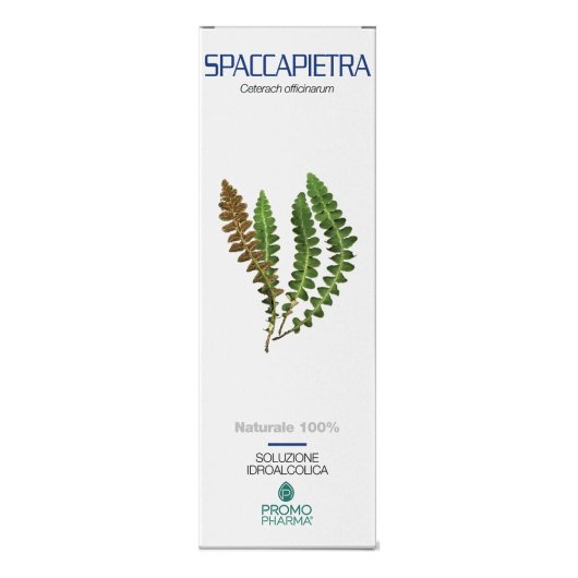 SPACCAPIETRA SOMMITA TT 100G