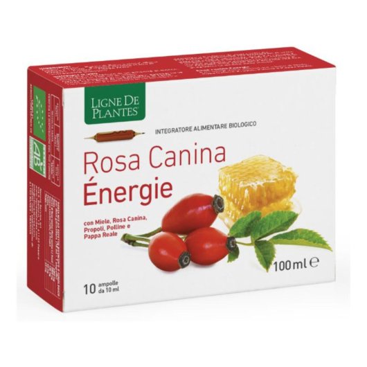 ROSA CANINA ENERGIE BIO 10AB