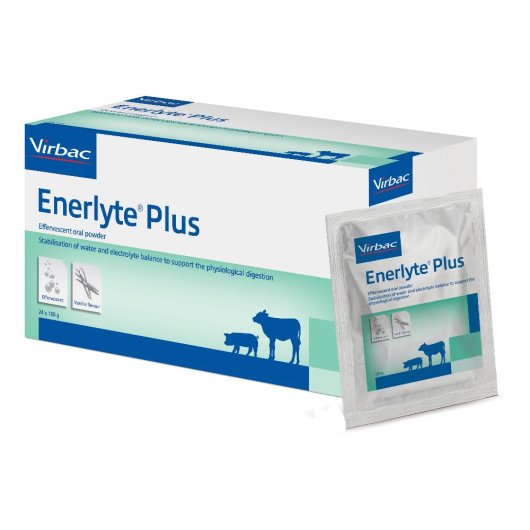 ENERLYTE PLUS 24 BS