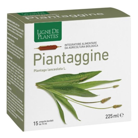 PIANTAGGINE 15AMP 15ML NATURA
