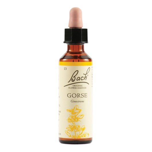 GORSE BACH ORIG 20ML