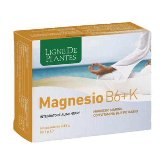 MAGNESIO B6 + K 60CPS NATURA S