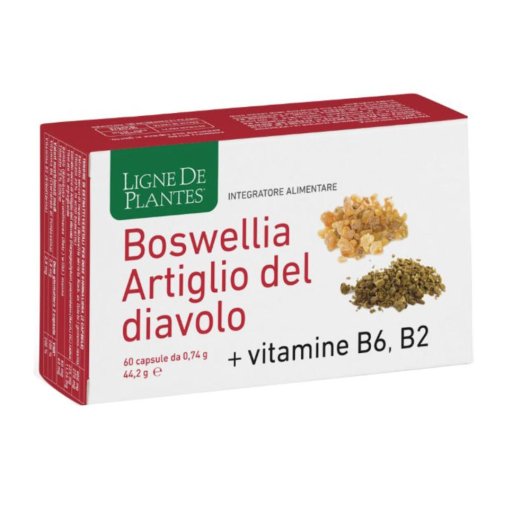 Ligne de Plantes Boswellia e Artiglio del Diavolo - 60 Capsule – Integratore per Dolori Articolari, Tensioni Localizzate e Flessibilità Muscolare Ligne de Plantes Boswellia e Artiglio del Diavolo - 60 Capsule – Integratore per Dolori Articolari, Tensioni Localizzate e Flessibilità Muscolare
