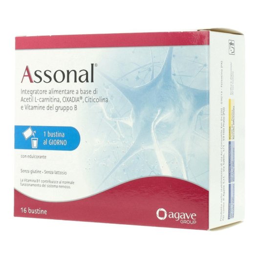 ASSONAL 16BUST ASSONAL 16BUST