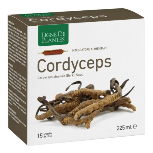CORDYCEPS 15AB 15ML