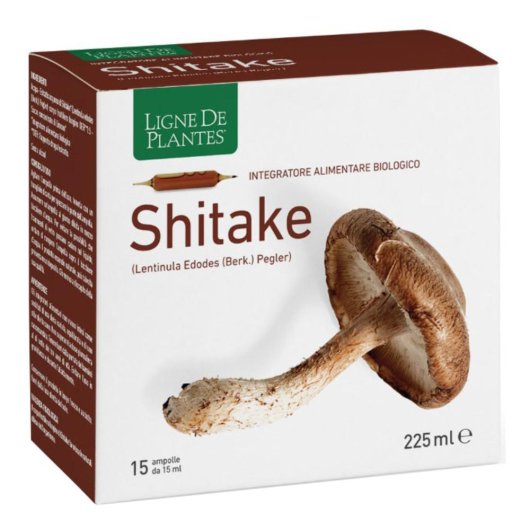 LIGNE SHITAKE BIO 15AMP 15ML