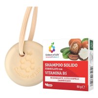 VITAMINA B5 SHAMPOOSOL80GCOL