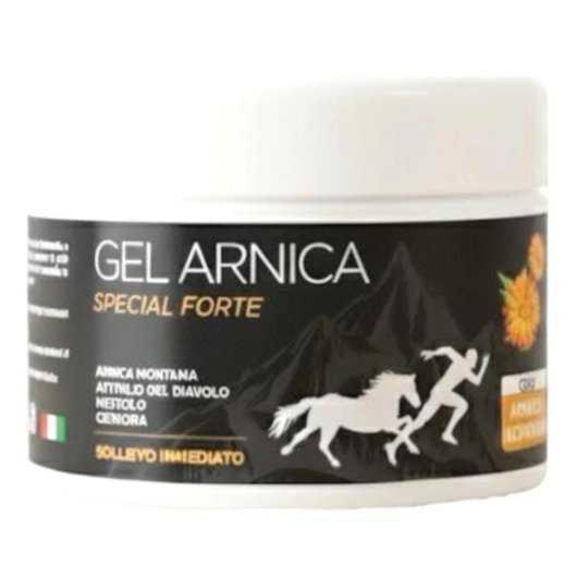ARNICA GEL SPECIAL FORTE 250 M