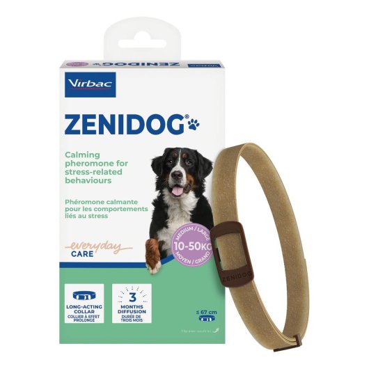 ZENIDOG COLLARE CANE ANTISTRES