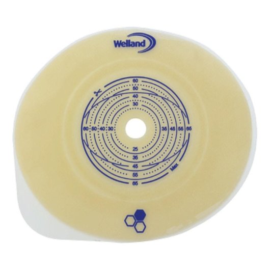 AURUM2 PLAC P 45 D25 5P XMH2F425 AURUM2 PLAC P 45 D25 5P XMH2F425