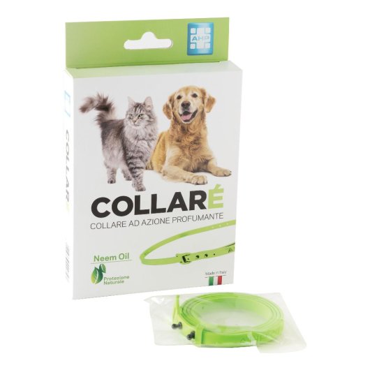 COLLARE' COLLARE AZ PROF VERDE