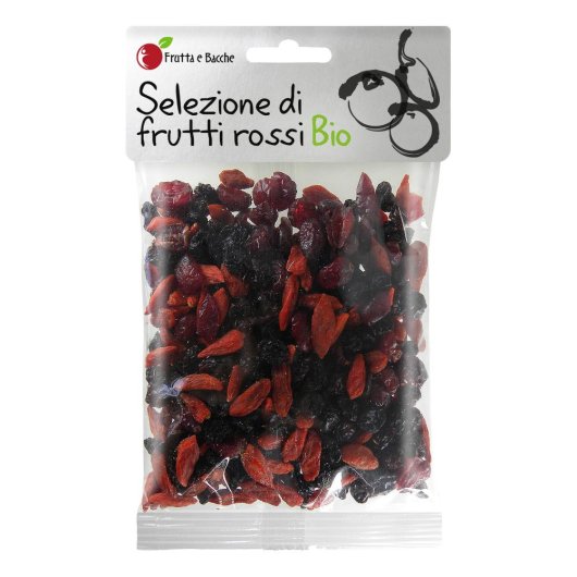 SELEZIONE FRUTTI ROSSI BIO100G