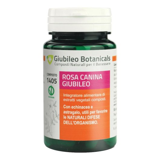 ROSA CANINA GIUBILEO 50CPS