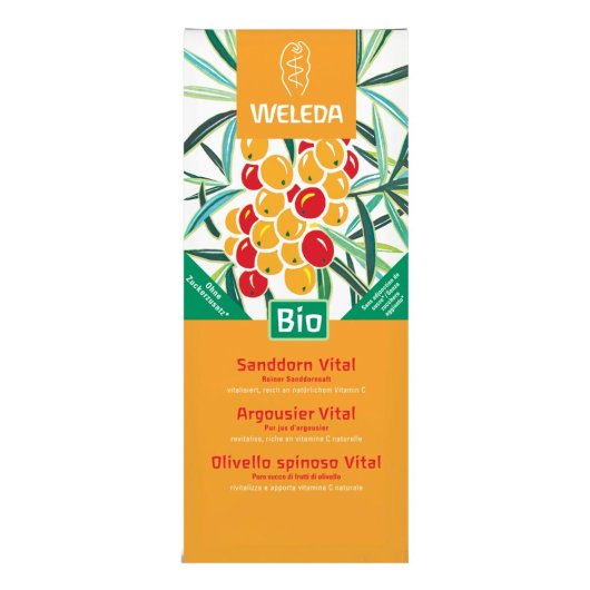 OLIVELLO SPINOSO VITAL SUCCO WE