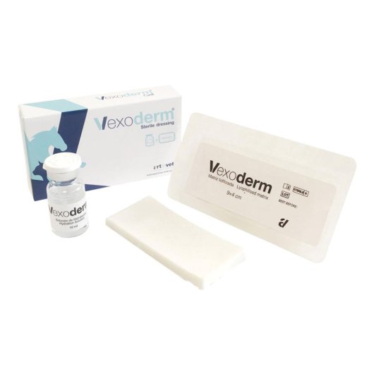 VEXODERM STER DRESSING 9X4CM