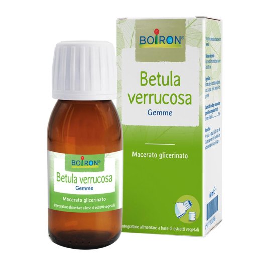 BO.BETULA VERRUCO MG 60ML INT