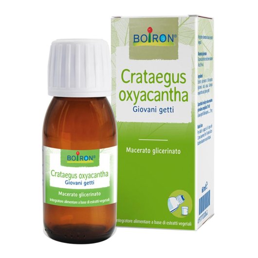 CRATAEGUS OXY MG 60ML INT BO