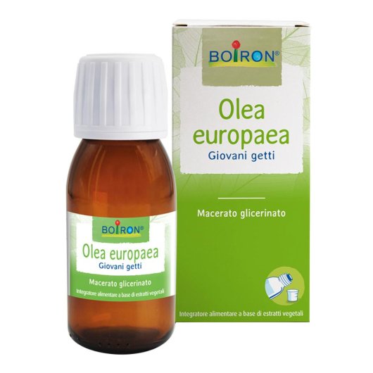 BO.OLEA EUROPAEA MG 60ML INT