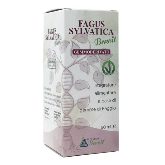 FAGUS SYLVATICA GEMMOD 50ML