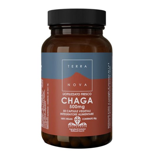 TERRANOVA CHAGA 50CPS