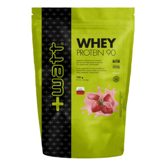 WHEY PROTEIN 90 FRA 750G DOYPA