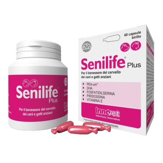 SENILIFE PLUS 60CPS