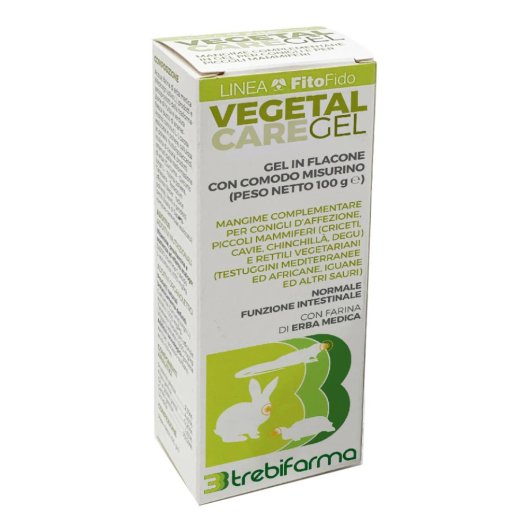 VEGETAL CARE GEL 100G