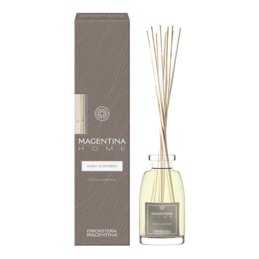 MH RADICI ZENZERO DIFF 100ML